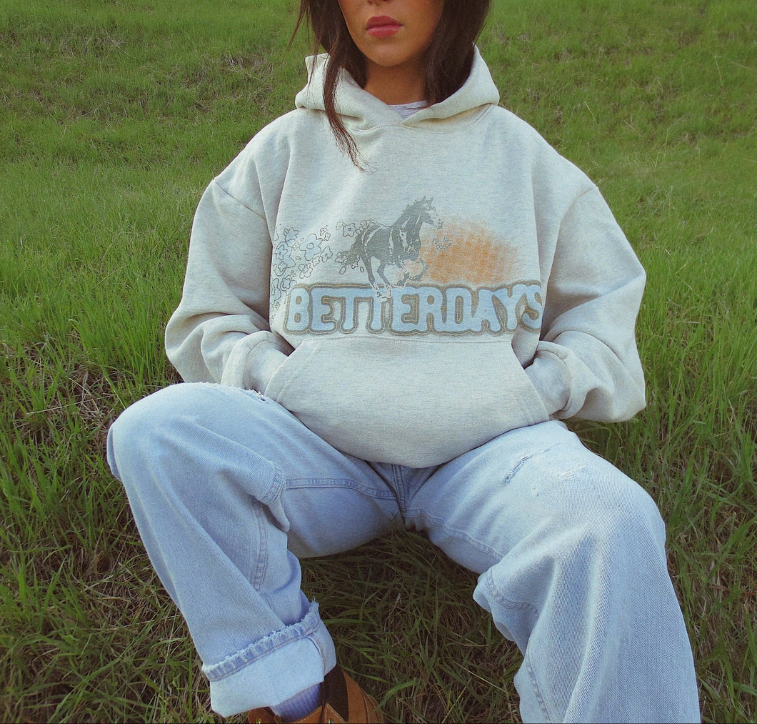 HORSE HOODIE
